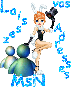 adresse msn